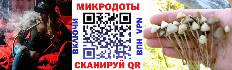 Купить где  Малоархангельск  Галлюциногенные грибы мухоморы 